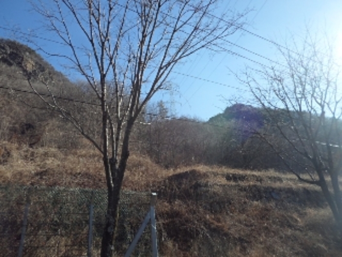 경상남도 밀양시 단장면 범도리 1297 임야 경매 사진 1