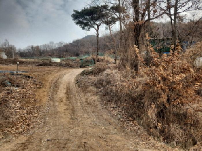 인천광역시 강화군 길상면 선두리 산69-2 임야 경매 사진 17