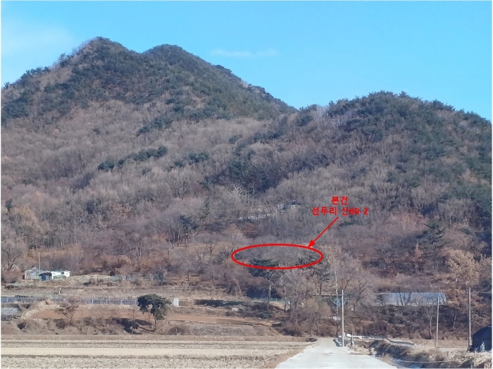 인천광역시 강화군 길상면 선두리 산69-2 임야 경매 사진 18