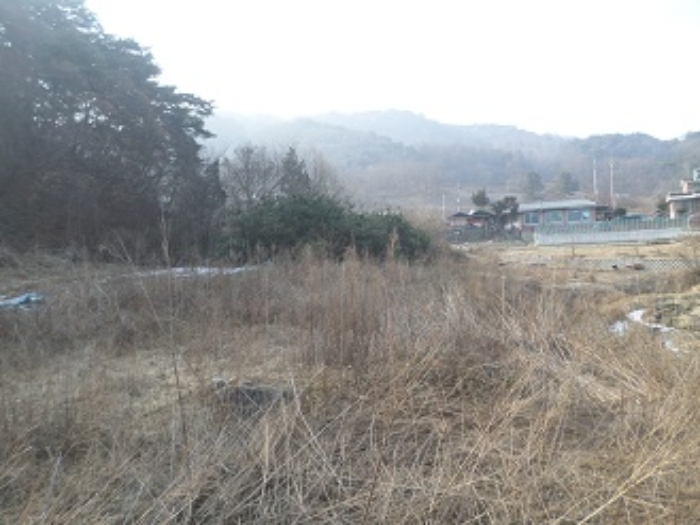 강원특별자치도 원주시 흥업면 흥업리 1316-3 전 경매 사진 22