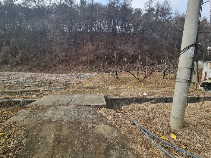 충청북도 충주시 살미면 설운리 388-1 전 경매 사진 3