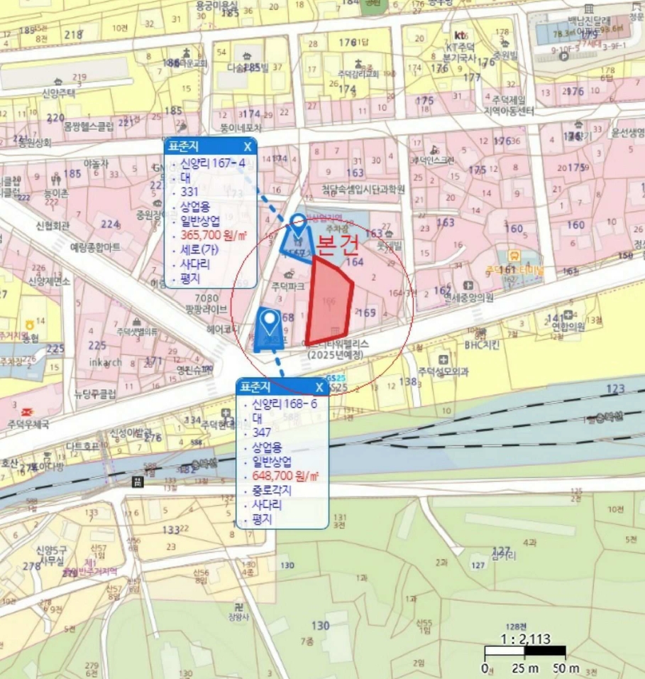 충청북도 충주시 주덕읍 신양리 166-1 대지 경매 사진 29