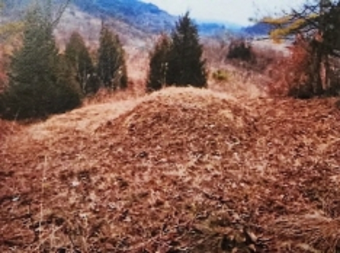 충청북도 제천시 수산면 구곡리 77-1 외 2필지 임야 경매 사진 2