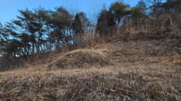 충청북도 제천시 수산면 구곡리 77-1 외 2필지 임야 경매 사진 13