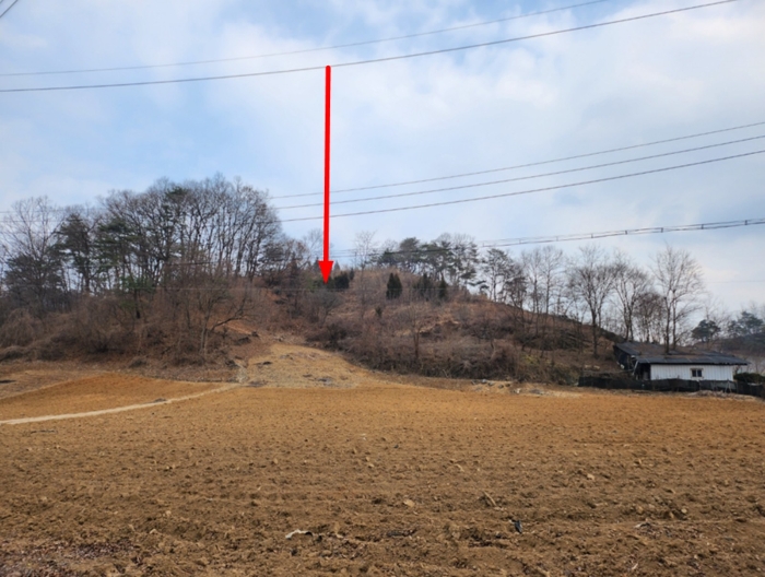 충청북도 제천시 수산면 구곡리 77-1 외 2필지 임야 경매 사진 21