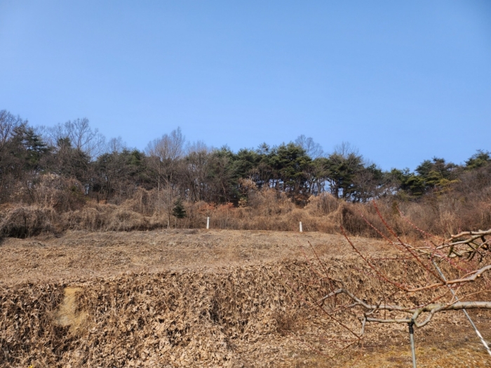 충청북도 제천시 수산면 구곡리 77-1 외 2필지 임야 경매 사진 24