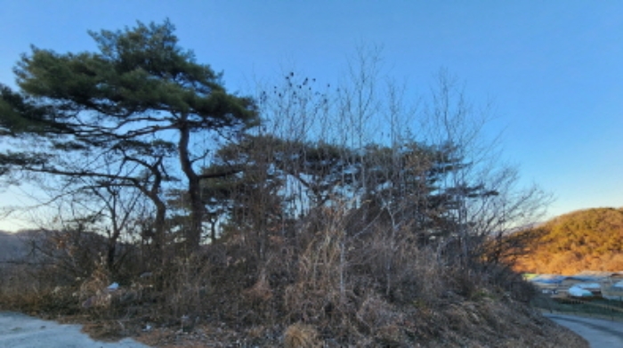 충청북도 제천시 수산면 구곡리 77-1 외 2필지 임야 경매 사진 9