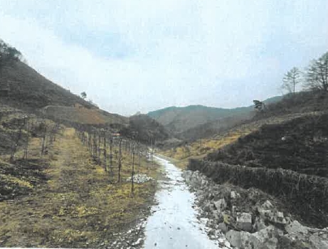 충청북도 제천시 청풍면 연론리 462 전 경매 사진 10