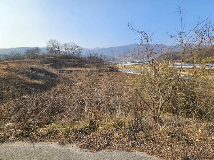 경상북도 김천시 구성면 하강리 423 외 2필지 과수원 경매 사진 3