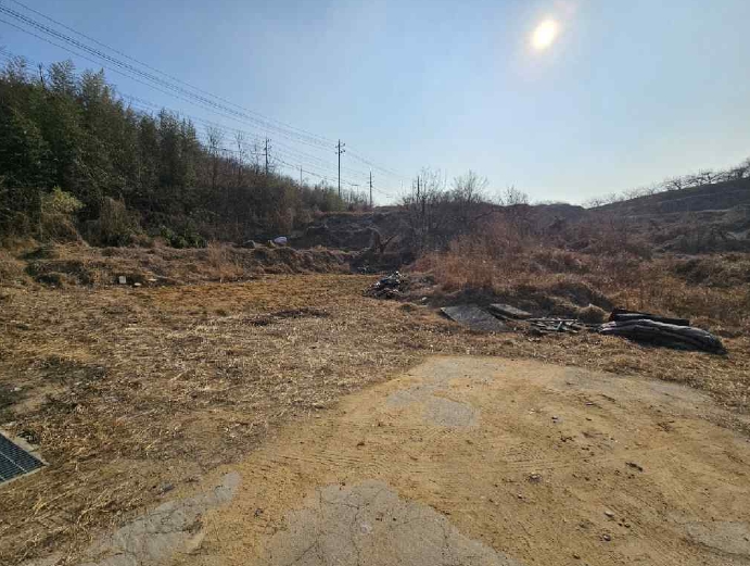 경상북도 김천시 구성면 하강리 423 외 2필지 과수원 경매 사진 4