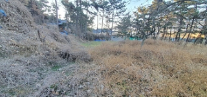 경상남도 김해시 진영읍 좌곤리 148 답 경매 사진 2