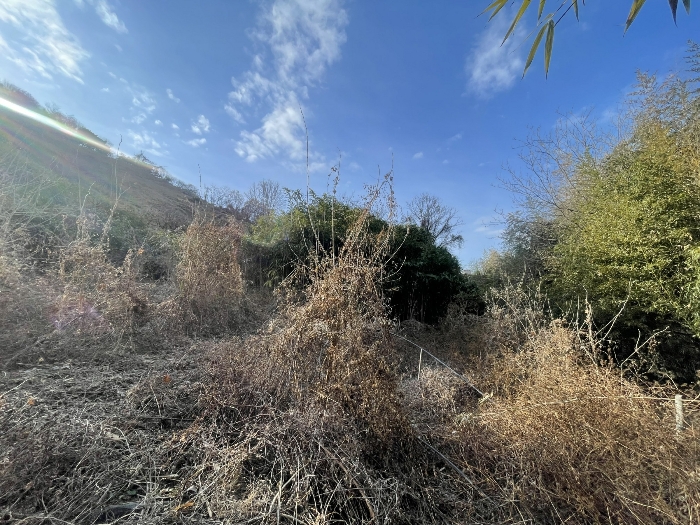 경상남도 김해시 진영읍 좌곤리 148 답 경매 사진 7