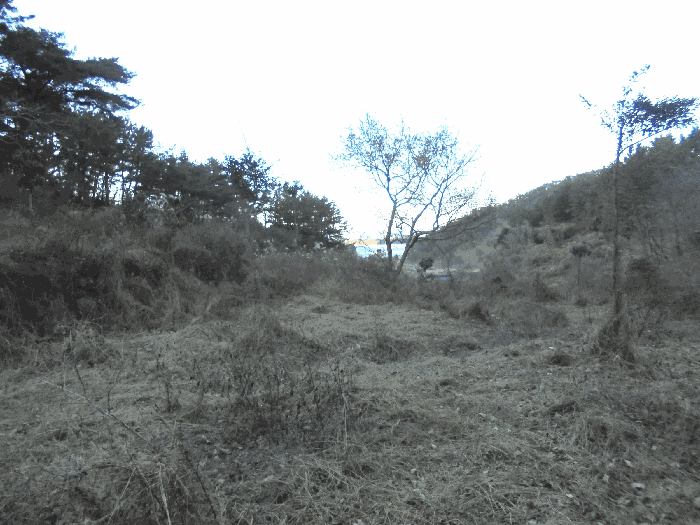 경상남도 통영시 도산면 오륜리 153-1 외 2필지 답 경매 사진 12