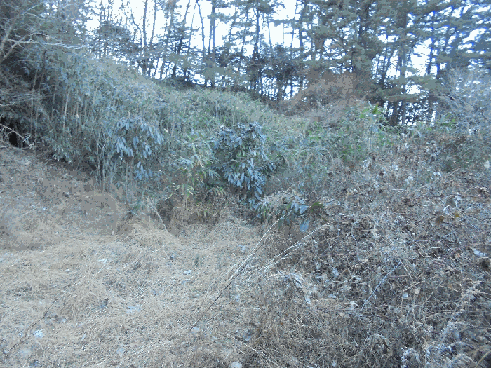 경상남도 통영시 도산면 오륜리 153-1 외 2필지 답 경매 사진 19