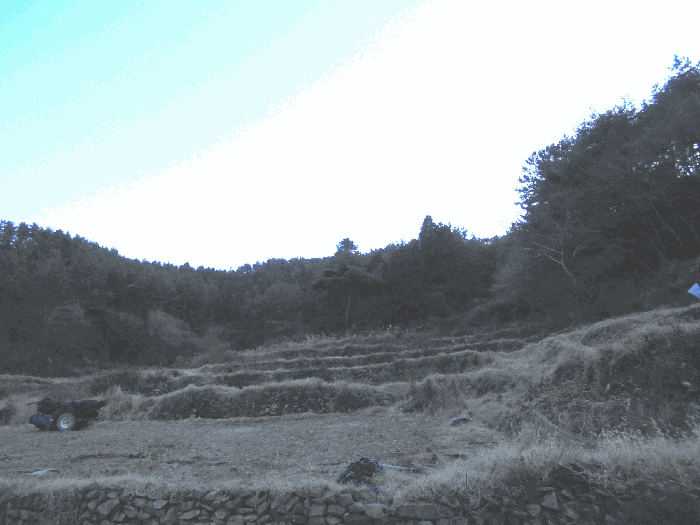 경상남도 통영시 도산면 오륜리 153-1 외 2필지 답 경매 사진 5
