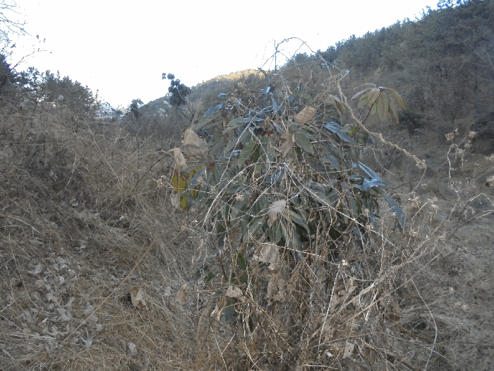 경상남도 통영시 도산면 오륜리 153-1 외 2필지 답 경매 사진 6
