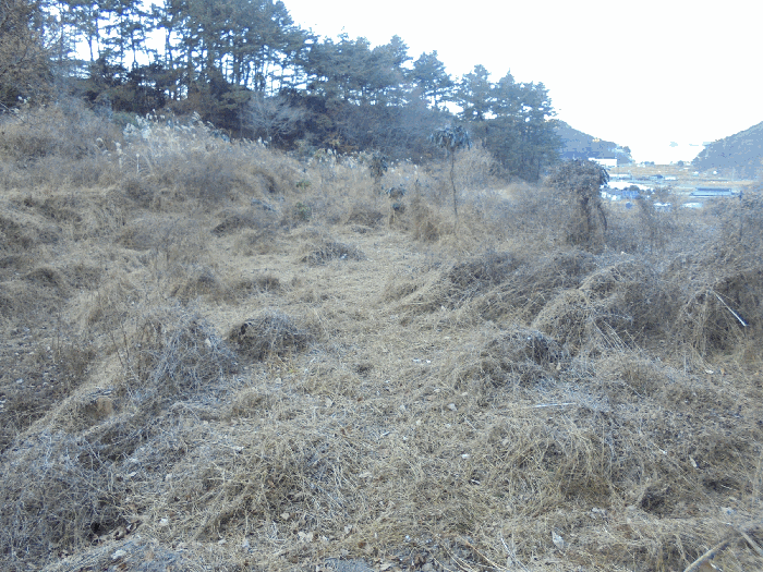 경상남도 통영시 도산면 오륜리 153-1 외 2필지 답 경매 사진 8