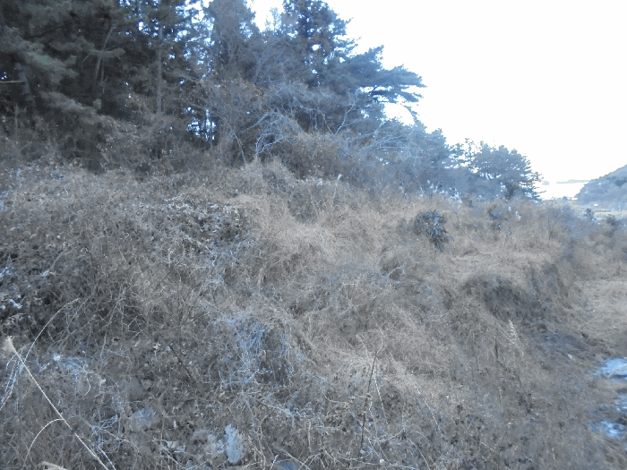 경상남도 통영시 도산면 오륜리 153-1 외 2필지 답 경매 사진 10