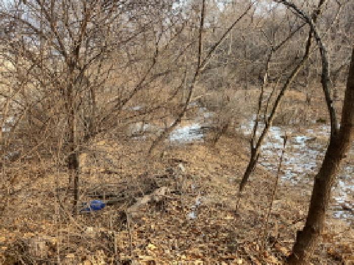 인천광역시 강화군 삼산면 매음리 939-1 외 5필지 임야 경매 사진 7