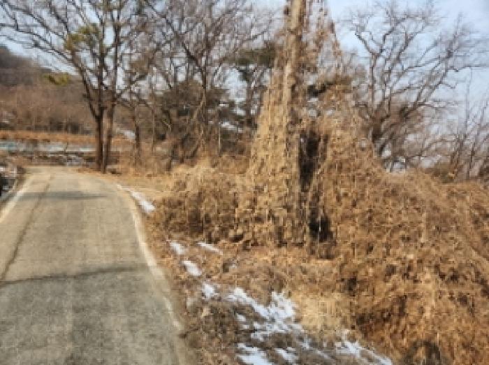 인천광역시 강화군 화도면 내리 1679 임야 경매 사진 2