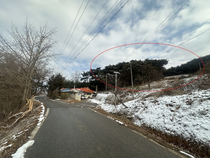 충청남도 당진시 송악읍 월곡리 산34-27 외 1필지 임야 경매 사진 18