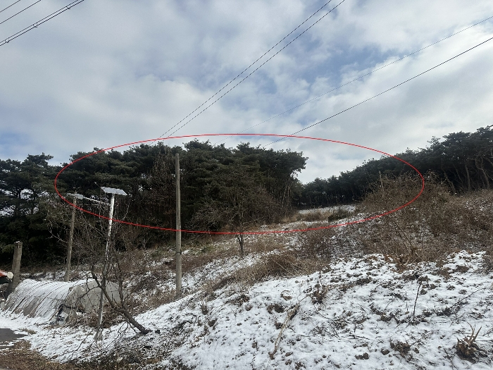 충청남도 당진시 송악읍 월곡리 산34-27 외 1필지 임야 경매 사진 19