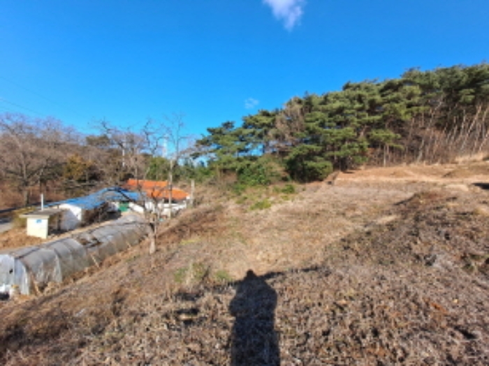 충청남도 당진시 송악읍 월곡리 산34-27 외 1필지 임야 경매 사진 7