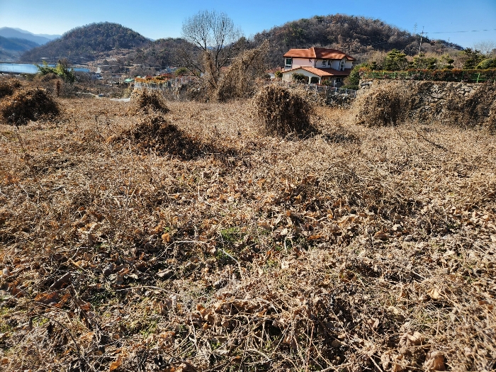 경상남도 밀양시 초동면 성만리 210-1 전 경매 사진 6