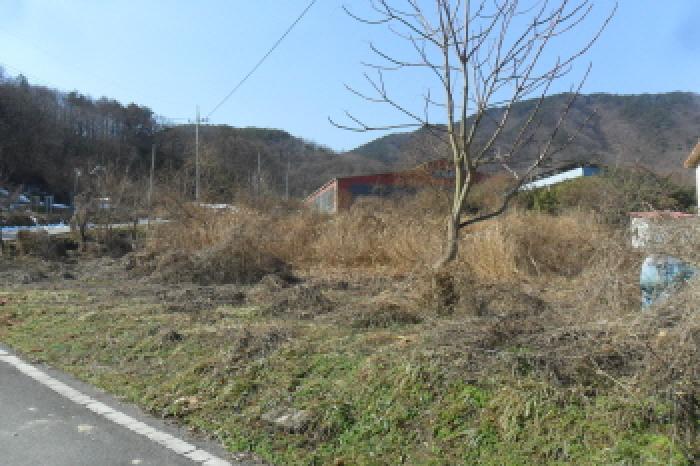 전북특별자치도 정읍시 쌍암동 566 외 2필지 공장 경매 사진 14
