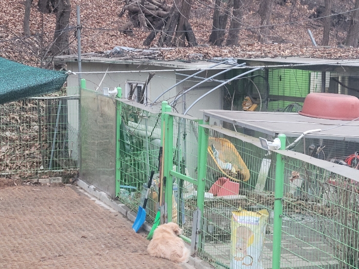 경기 화성시 효행구 봉담읍 분천리 320 동물및식물관련시설 경매 사진 17