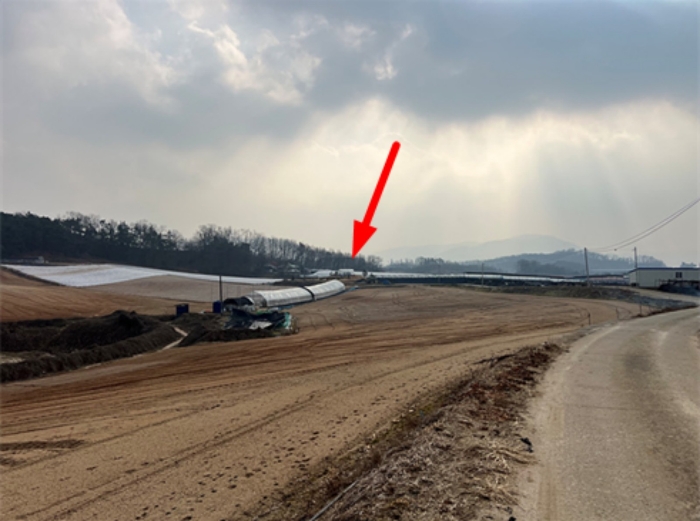 경기도 안성시 서운면 신흥리 229-2 외 1필지 임야 경매 사진 10