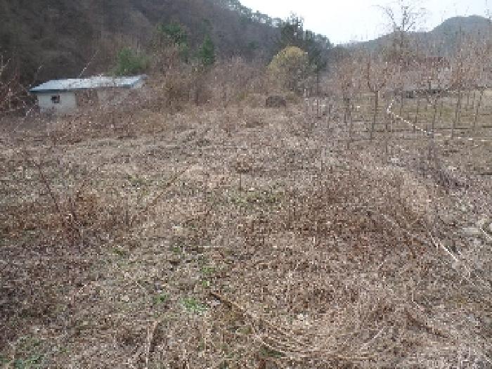 충청남도 논산시 벌곡면 사정리 399 외 7필지 동물및식물관련시설 경매 사진 2