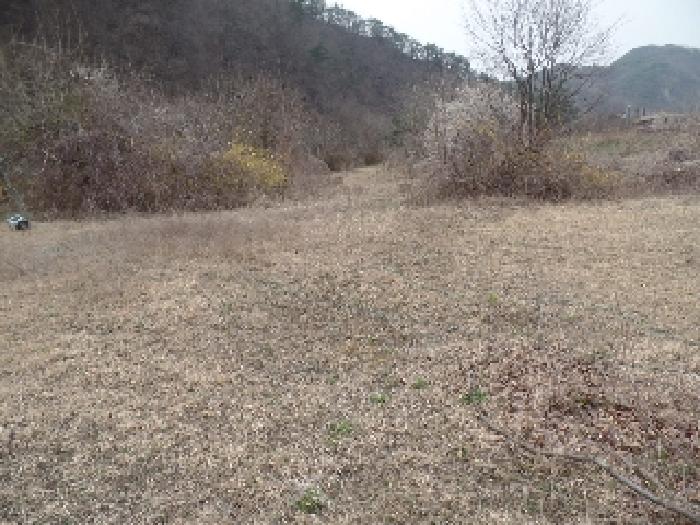 충청남도 논산시 벌곡면 사정리 399 외 7필지 동물및식물관련시설 경매 사진 19