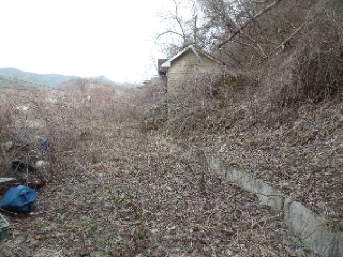 충청남도 논산시 벌곡면 사정리 399 외 7필지 동물및식물관련시설 경매 사진 21