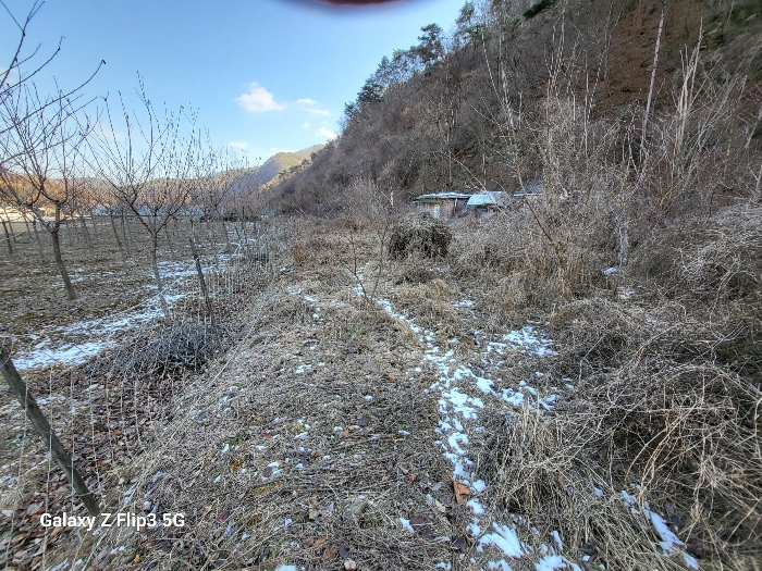 충청남도 논산시 벌곡면 사정리 399 외 7필지 동물및식물관련시설 경매 사진 34