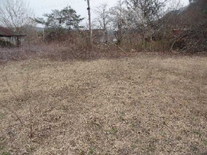 충청남도 논산시 벌곡면 사정리 399 외 7필지 동물및식물관련시설 경매 사진 5