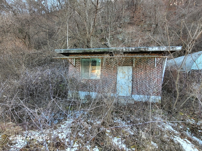 충청남도 논산시 벌곡면 사정리 399 외 7필지 동물및식물관련시설 경매 사진 41