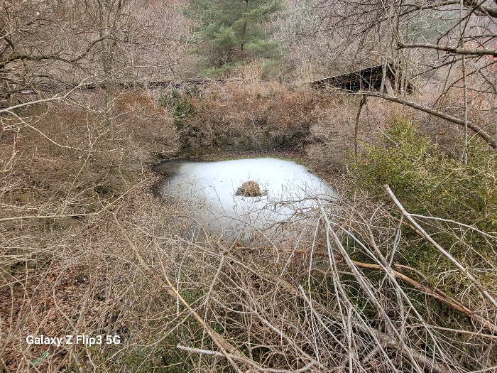 충청남도 논산시 벌곡면 사정리 399 외 7필지 동물및식물관련시설 경매 사진 46