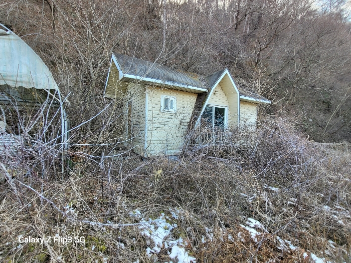 충청남도 논산시 벌곡면 사정리 399 외 7필지 동물및식물관련시설 경매 사진 47