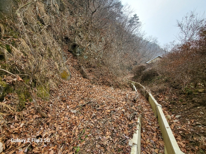 충청남도 논산시 벌곡면 사정리 399 외 7필지 동물및식물관련시설 경매 사진 49