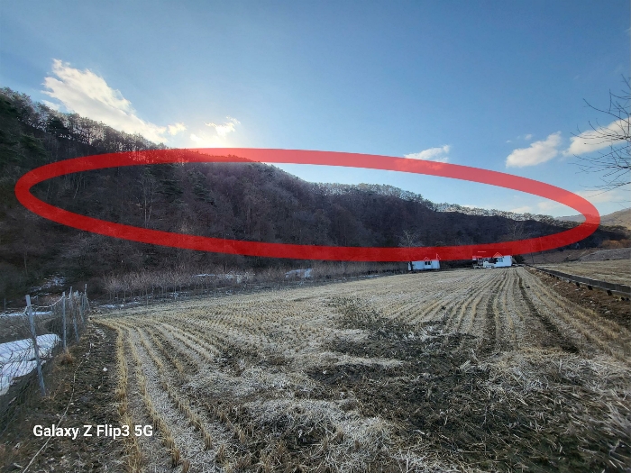 충청남도 논산시 벌곡면 사정리 399 외 7필지 동물및식물관련시설 경매 사진 50