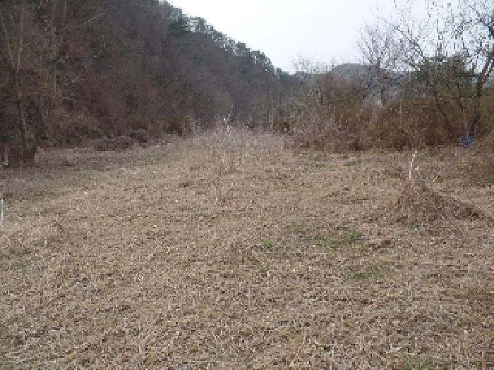 충청남도 논산시 벌곡면 사정리 399 외 7필지 동물및식물관련시설 경매 사진 6