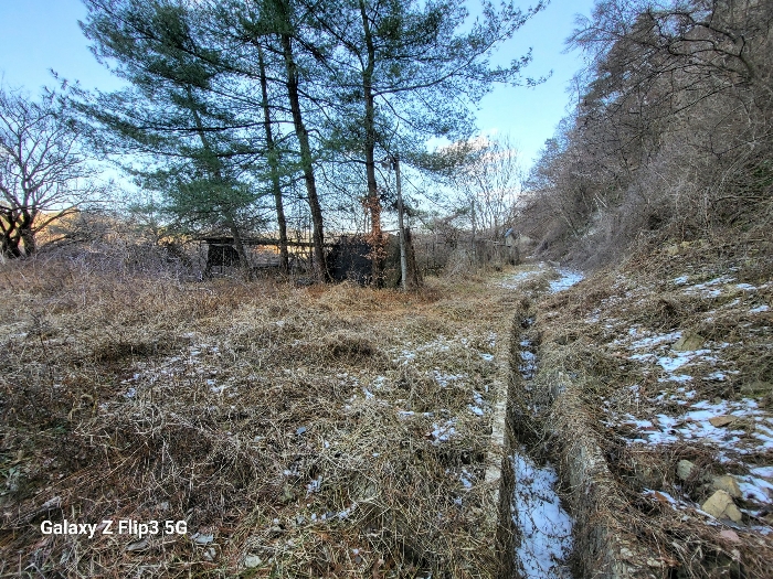 충청남도 논산시 벌곡면 사정리 399 외 7필지 동물및식물관련시설 경매 사진 53