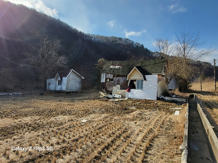 충청남도 논산시 벌곡면 사정리 399 외 7필지 동물및식물관련시설 경매 사진 54