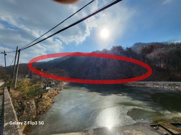 충청남도 논산시 벌곡면 사정리 399 외 7필지 동물및식물관련시설 경매 사진 56