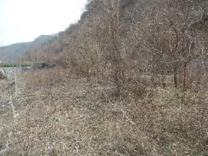 충청남도 논산시 벌곡면 사정리 399 외 7필지 동물및식물관련시설 경매 사진 7