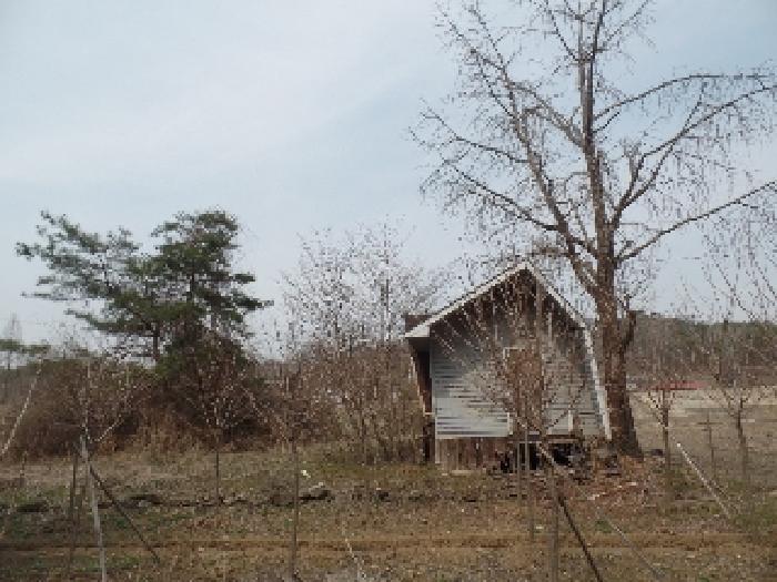 충청남도 논산시 벌곡면 사정리 399 외 7필지 동물및식물관련시설 경매 사진 8