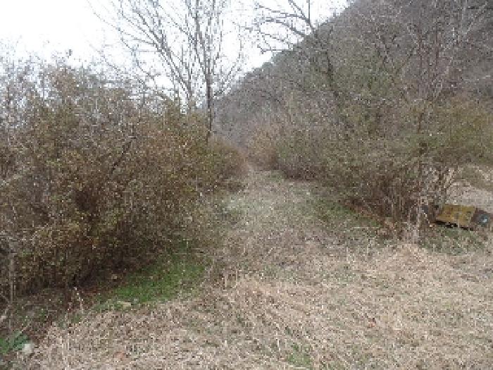 충청남도 논산시 벌곡면 사정리 399 외 7필지 동물및식물관련시설 경매 사진 9