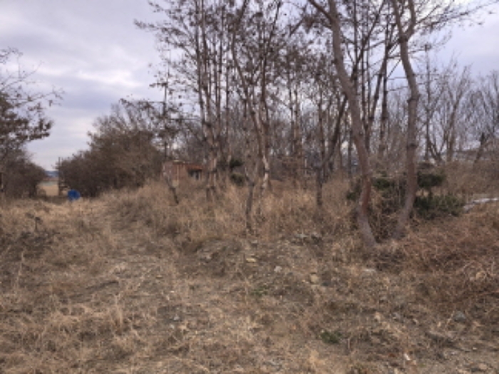 경상북도 경산시 와촌면 용천리 661-3 외 10필지 근린생활시설 경매 사진 13