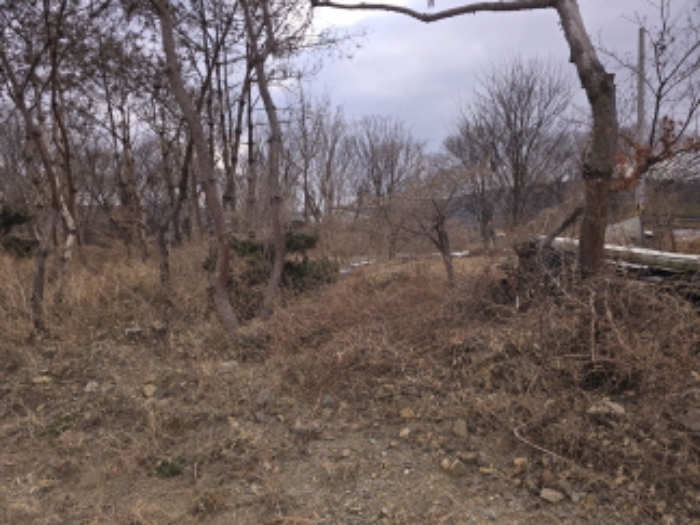 경상북도 경산시 와촌면 용천리 661-3 외 10필지 근린생활시설 경매 사진 18